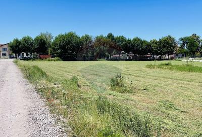 Teren intravilan 10.000 mp in Stupini, Brasov - 5