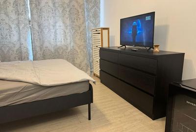 Garsonieră semidecomandată în Aradului - 4