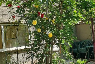 Casă cu 3 camere cu Teren 33 Mp în Dorobanți - 3