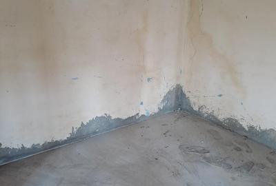 Casă cu 4 camere cu Teren 1300 Mp în Dascălu - 9