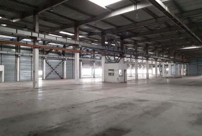 Spațiu comercial, de 20,000 mp, în Timișoara