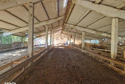 Spațiu comercial, de 2,596 mp, în Jichișu de Jos - 4