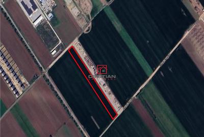 Teren de 8230 mp, în Măgurele