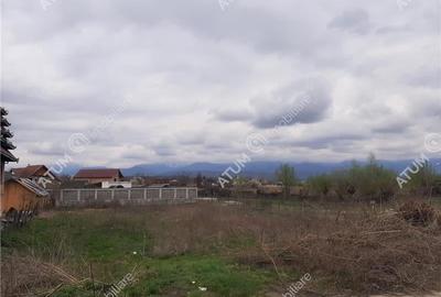 Teren intravilan 1300 mp de vanzare pe Valea Avrigului, drum asfaltat - 4