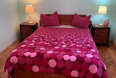 Apartament cu 2 camere în Dacia - 15