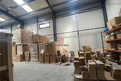 Spațiu comercial, de 1,130 mp, în Mogoșoaia - 4