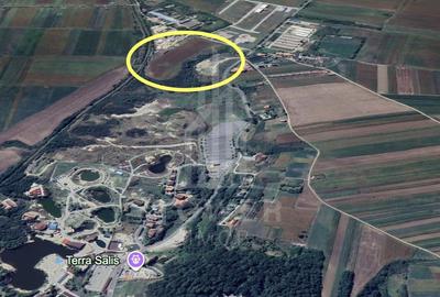 Teren Construcții intravilan de 3500 mp, în Exterior Sud - 4