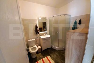 Apartament 1 camera, 48mp, etaj intermediar, petfriendly, zona Stejarului - 5