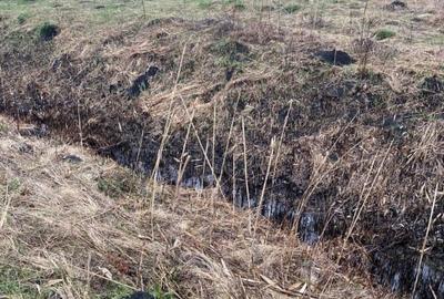 Teren extravilan, 7351 mp, oportunitate investitie, Salistea Veche - 2
