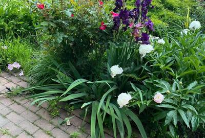 Casă cu 5 camere în Sânmihaiu Român - 8