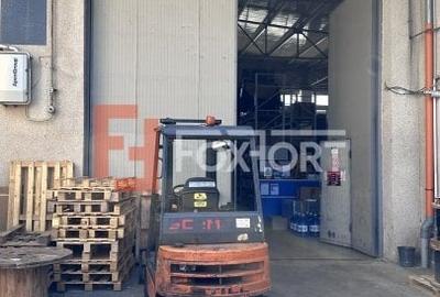 Depozit logistic sau Spatiu de productie -503 mp utili, 950 mp teren - Timisoara - 5