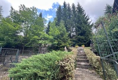 Azuga - Strada Garbovei - 4