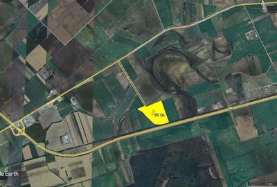 20 ha teren arabil intre Arad si Pecica - 2