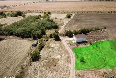Teren de 1000 mp, în Sinești - 1
