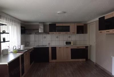 Casă cu 6 camere cu Teren 2255 Mp în Cenad - 2