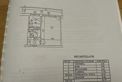 Garsoniera spatioasa situata in str Campia Libertatii cu 3 parcuri in apropiere - 1