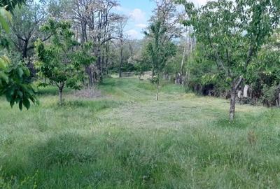 Teren extravilan de vanzare Stane?ti, 3.861 mp, livada de cire?i - 12