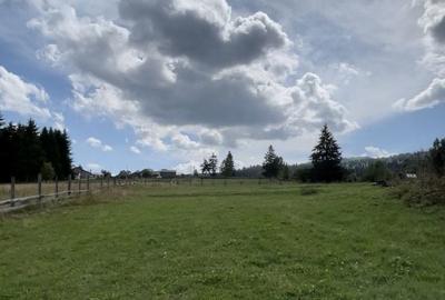 Spațiu comercial, în Șaru Dornei - 1