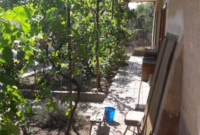 Casă cu 5 camere cu Teren 1600 Mp în Central - 5