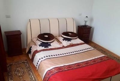 Apartament cu 2 camere decomandat în Slătinioara - 6