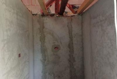 Casă cu 1 camere cu Teren 1500 Mp în Bârsa - 8