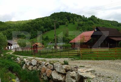 Casa de vacanta in Valea Inzelului – TRANSAPUSEANA, 459 mp totali. - 4