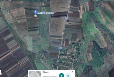 Teren de 10000 mp, în Șipote - 7