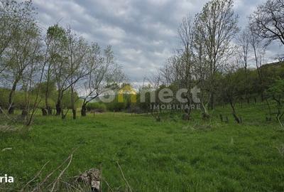 Spațiu comercial, în Ciurila - 4