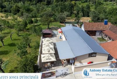 Spațiu comercial, de 195 mp, în Budureasa - 5