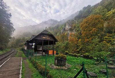 Vand afacere Cabana ANNASTASIA Vadu Crisului - 1
