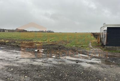 Teren Construcții extravilan de 14785 mp, în Exterior Sud - 4