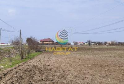 Teren agricol extravilan de 10000 mp, în Frumușani - 2