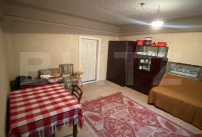 Casa cu anexe si 40 ari de gradina - 9