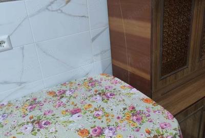 Vanzare garsoniera zona Ozana - 3