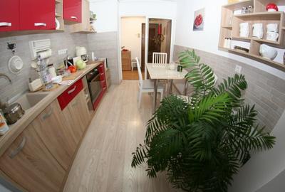 Apartament mobilat si utilat cu vedere spre Tampa - 3