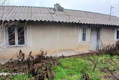 Teren de 4600 mp, în Botoroaga - 5