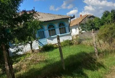 Casă cu Teren 5000 Mp în Sulița - 4