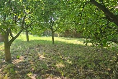Casă individuală cu 4 camere cu Teren 2400 Mp în Osoi (Comarna) - 15