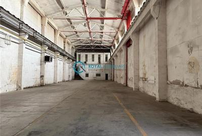Royal Imobiliare - Inchiriere spatiu industrial zona Vest - 5