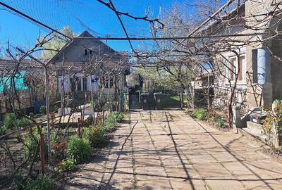 Casă cu 4 camere cu Teren 780 Mp în Urzicuța - 3