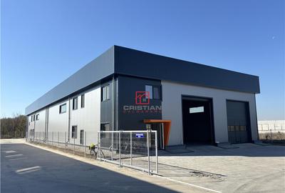 Spațiu comercial, de 1,000 mp, în Chitila - 11