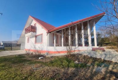 Casa Rediu, Horlesti 150 mp, 1200 mp teren - 13