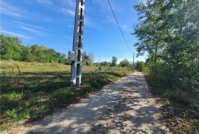 Parcele de teren in zona lacurilor  Colun(40 km distanta de Sibiu) - 10