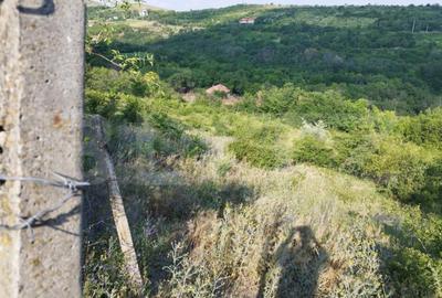 Teren de 3600 mp, în Central - 4