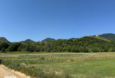 Teren de 9000 mp, în Râmeț - 11