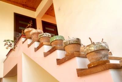 Casa cu etaj in Cocorastii Colt la doar 10 minute de autostr - 12