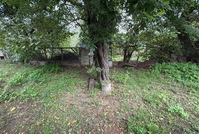 Vand casa in Aiud pe str. Iazuluj - 3