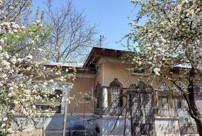 Teren de 3070 mp, în Adunații-Copăceni - 4