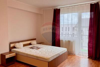 Apartament cu 1 camera, de inchiriat, zona Intre Lacuri, Str. Dunarii - 2