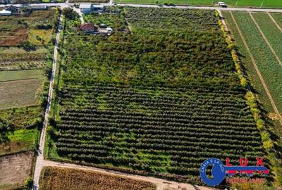 Teren de 44999 mp, în Sabangia - 16